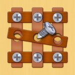 Wood Nuts & Bolts Screw Puzzle 0.4.5 APK (MOD, Unlimited Gems)